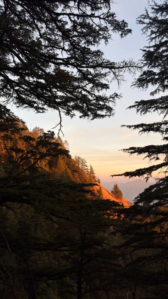 Shimla travel guide summer 2026